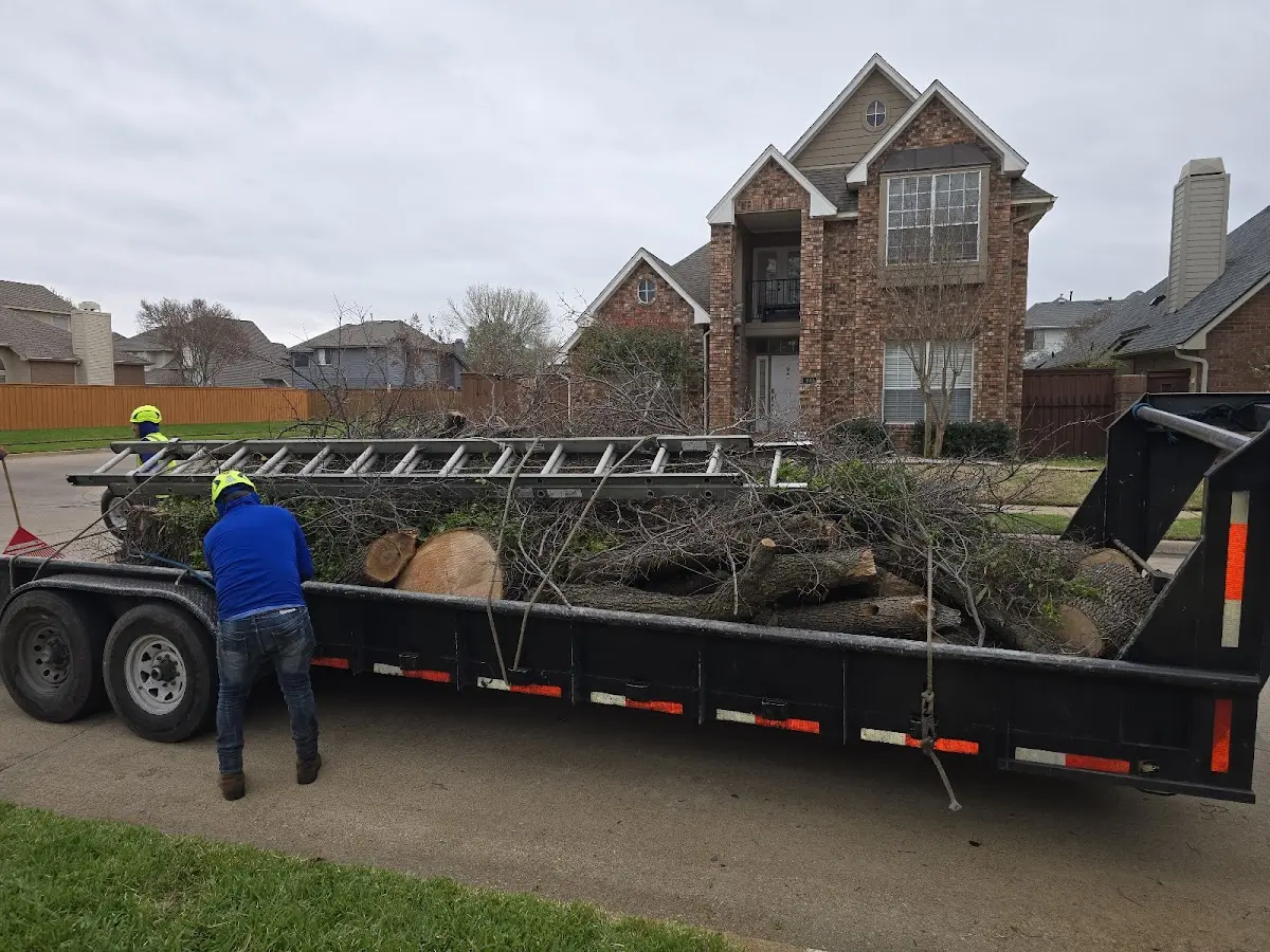 Expert Tree Fertilization with proper safety equipment in Stewartstown